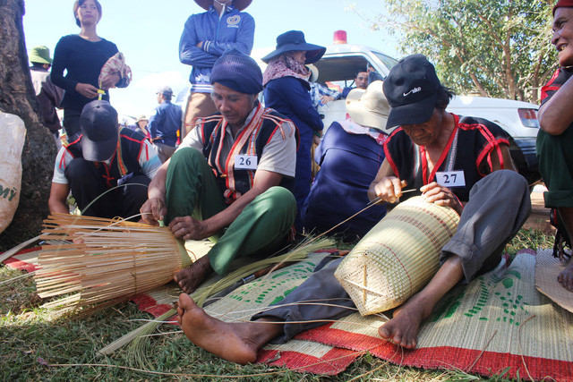 嘉莱省肿柄菊节相关活动。图自因特网