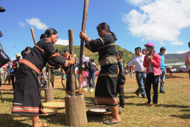 嘉莱省肿柄菊节相关活动。图自因特网