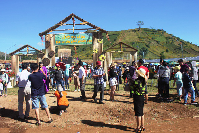 嘉莱省肿柄菊节吸引数千人参观。图自因特网