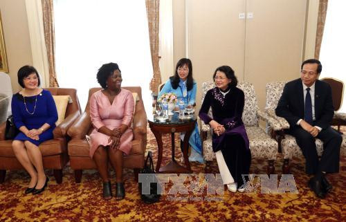 越南国家副主席邓氏玉盛会见前来出席2017年亚太经合组织妇女与经济公私对话的代表。（图片来源：越通社）