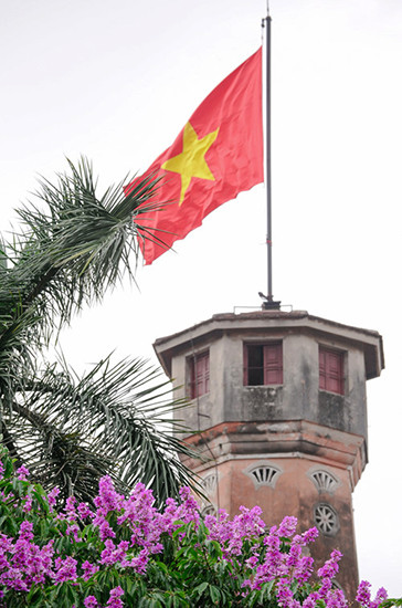 紫薇花从印度起源，因带着美丽的紫色，该花种被种植在越南许多省市。（图片来源：越南《人民报网》）