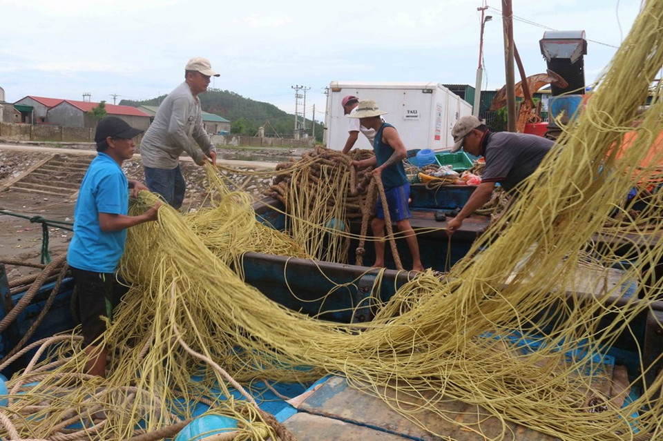 该产业有助于促进经济社会发展。图自越通社