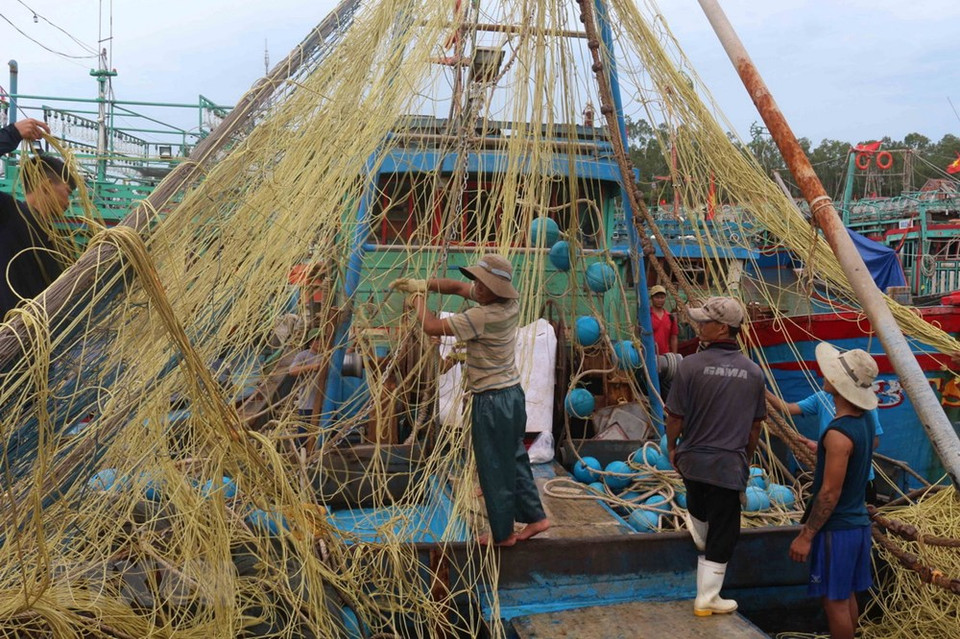 该产业有助于促进经济社会发展。图自越通社
