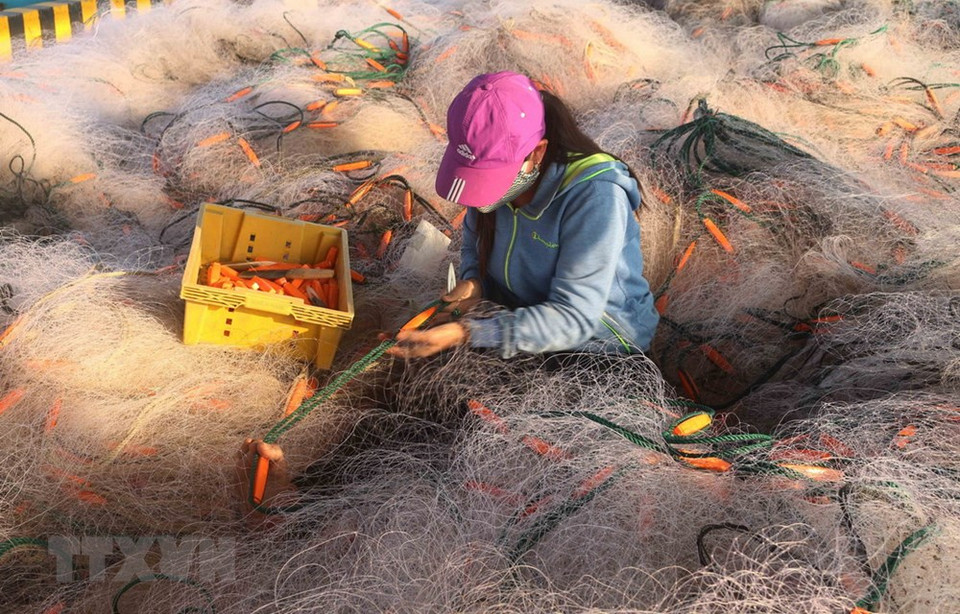 给当地劳动者提供就业机会。图自越通社