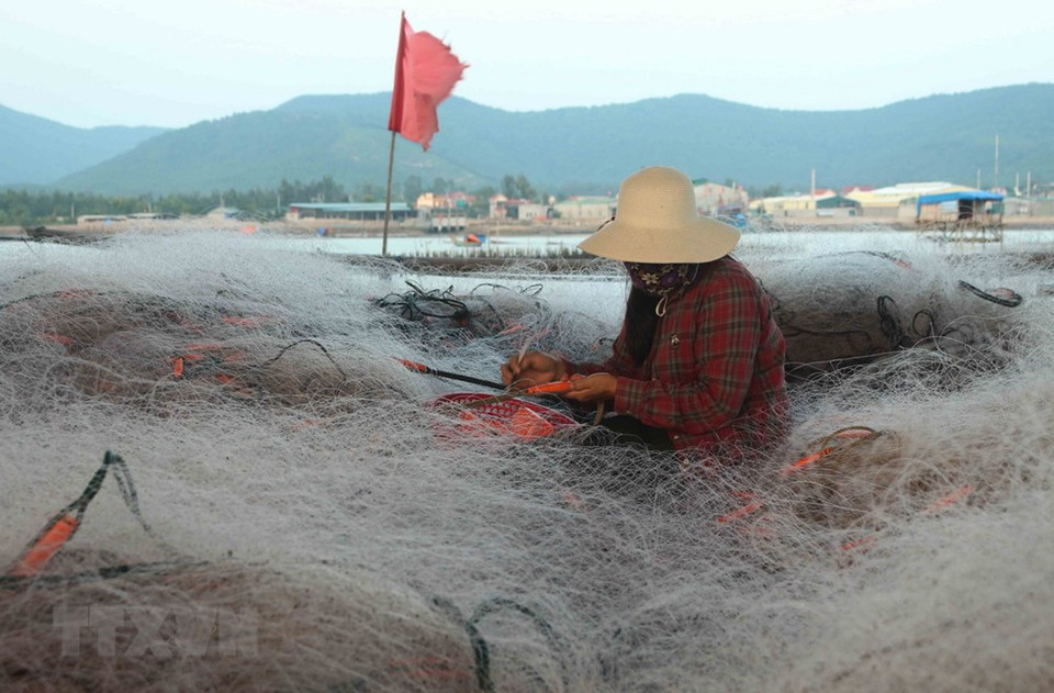 给当地劳动者提供就业机会。图自越通社