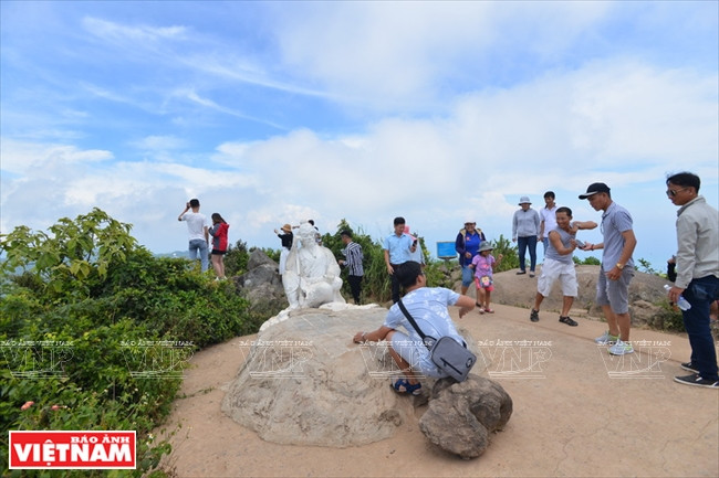  山茶半岛棋盘峰吸引众多游客前来参观游览。图自越南画报