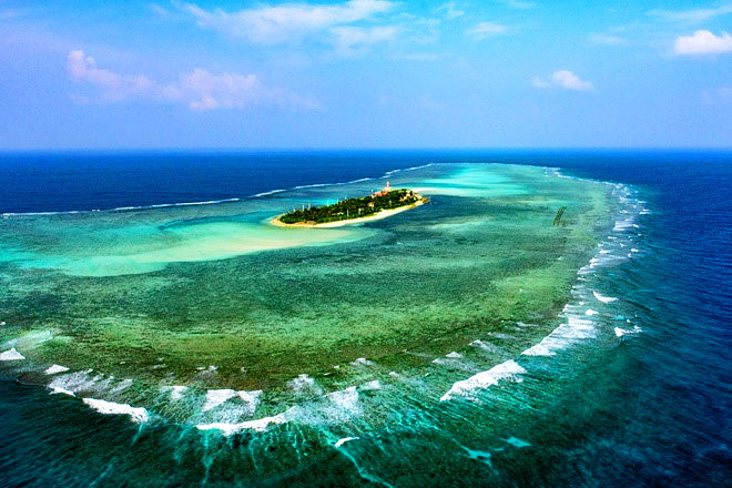 武玉皇的《海洋之花》。