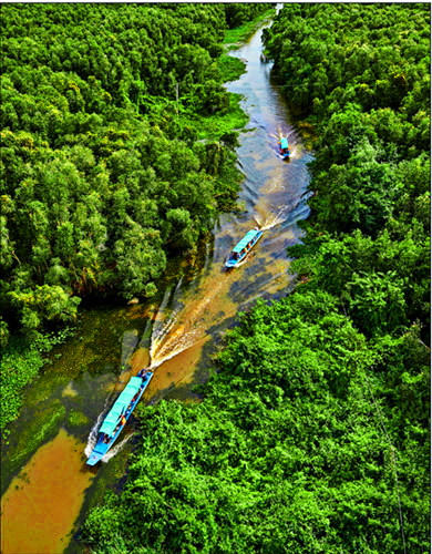 陈氏乔英的《新立水上小村的生态旅游线》。