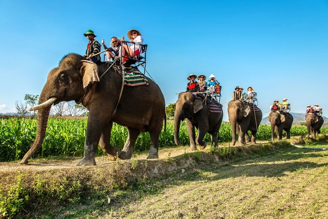 《骑大象游西原》。