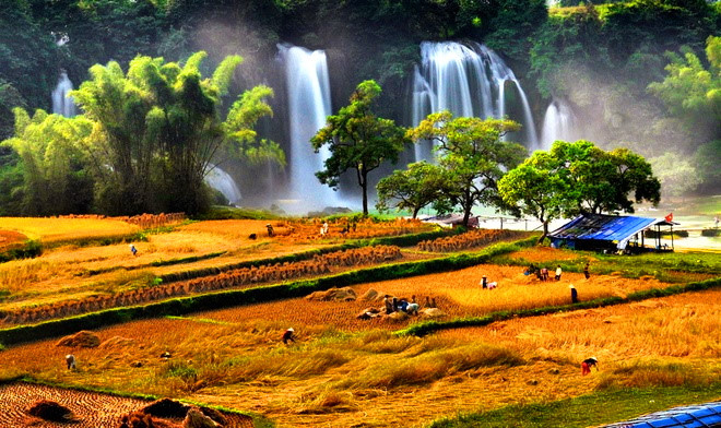 参赛作品充分展现越南美丽的风土人情和传统文化。