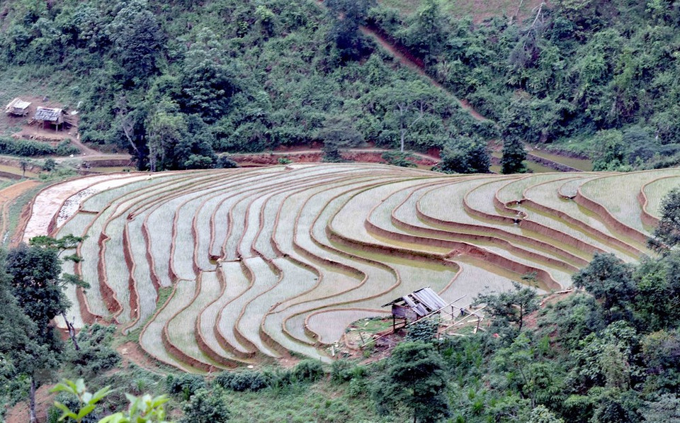 山罗省芒罗县清万乡壮美的梯田景观。越通社记者 光决 摄