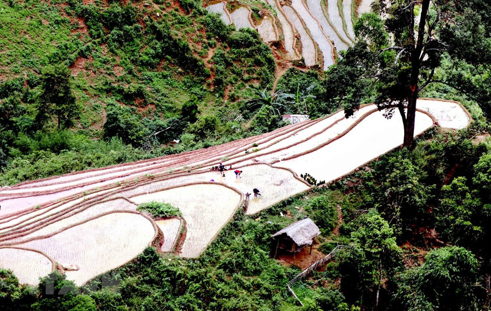 从高空俯瞰山罗省芒罗县清万乡的梯田美景。越通社记者 光决 摄