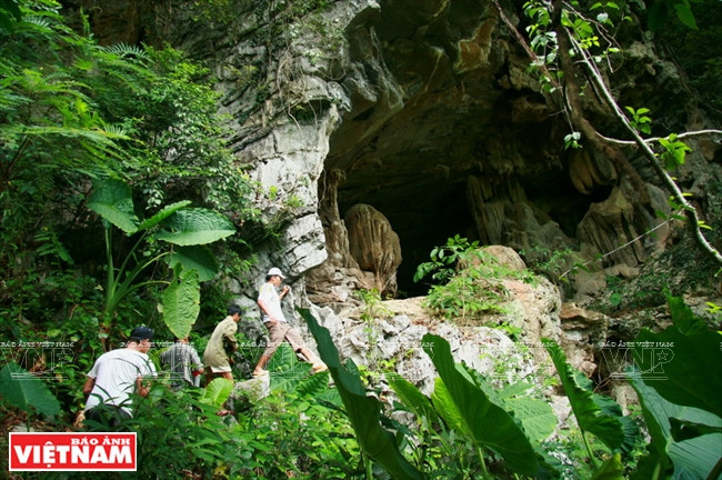 如果把“风芽世界遗产”比喻为“壮丽的殿堂”，那么广平省明化山林的秀兰洞就是“睡美人”。乔丹导演充分利用其美景作为影片的不少背景。（图片来源：越南画报）