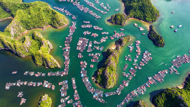 海防市最美丽目的地——兰夏湾。图自因特网