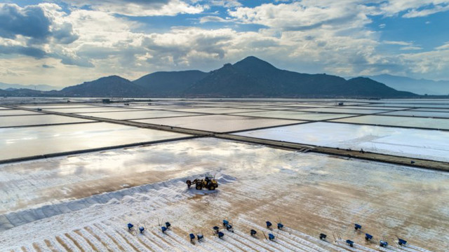 仁海沿海地区的盐田之美。图自因特网