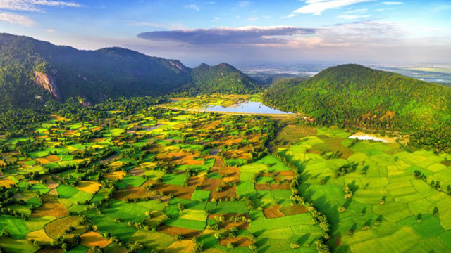 安江省塔帕田——越南大自然水彩画作品。图自因特网