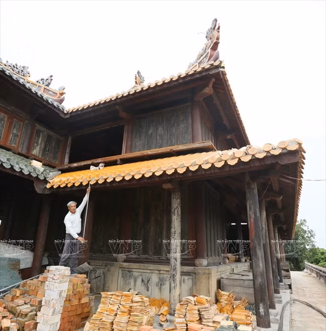 图片7