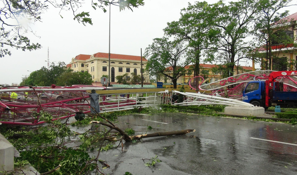 台风过后,不少树木被吹断,地上一片狼藉。（图片来源：越通社）