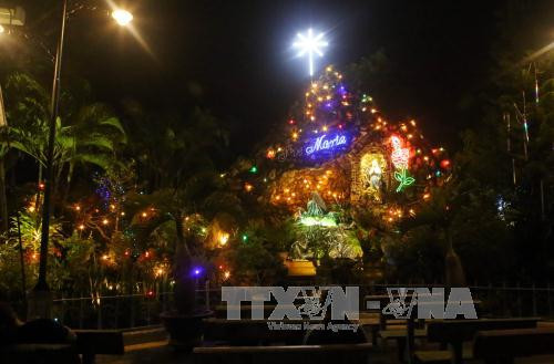 啊承天顺化省到处可见处令人眼花撩乱的红绿圣诞灯饰（图片来源：越通社）