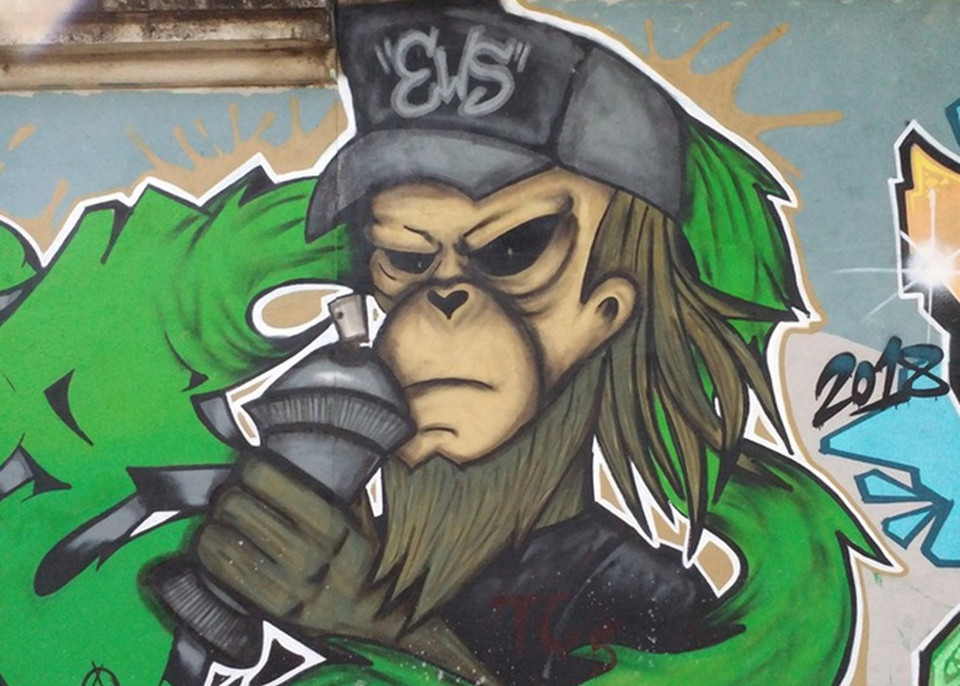 承天顺化省的壁画之路。图自互联网