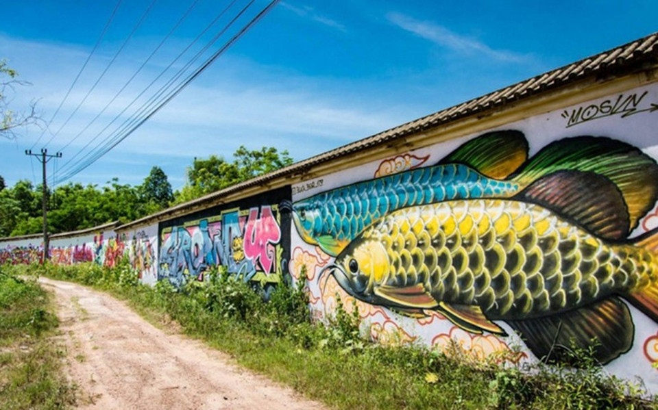 承天顺化省的壁画之路。图自互联网