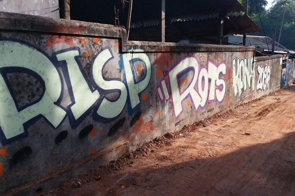 承天顺化省的壁画之路。图自互联网