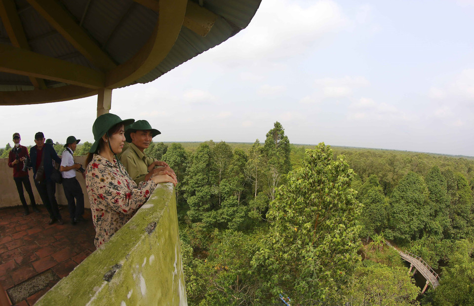 龙玉黄自然保护区占地面的2800公顷，被评为后江省乃至整个九龙江三角洲的宝贵资源。图自 越通社