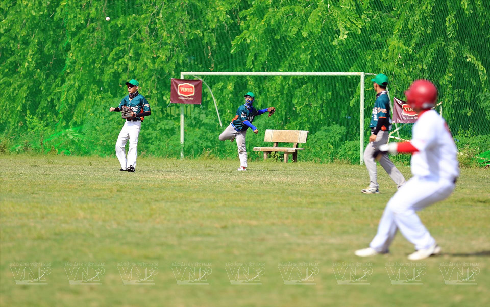 现在，棒球已经激起了很多年轻人的兴趣。他们组建成一组一组，一起打棒球。图自越南画报