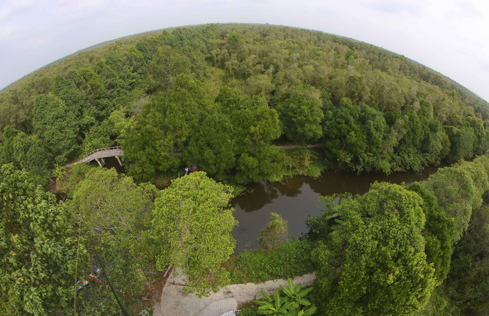龙玉黄自然保护区仍保留原始地貌，生物多样性丰富，按自然演替保存特有野生动植物遗传资源。图自 越通社
