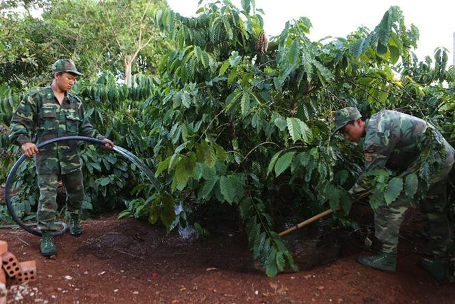 西原地区边防部队为边民发展生产。越通社记者杨江 摄