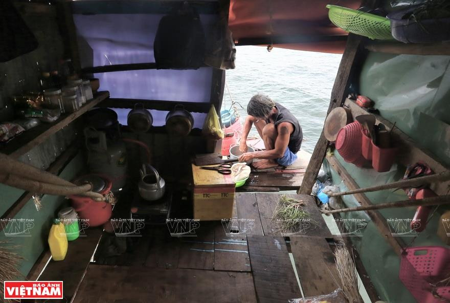 与鱼棚结缘20年的云先生。越南画报记者 通海 摄