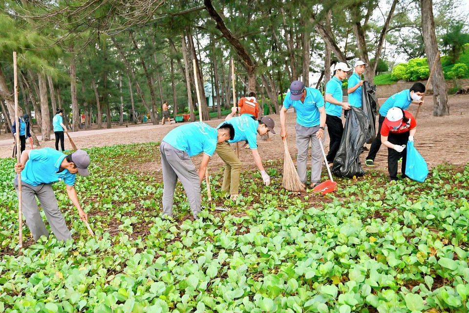 各度假村的志愿者在丘阳海滩开展环境卫生清洁活动。图自越通社