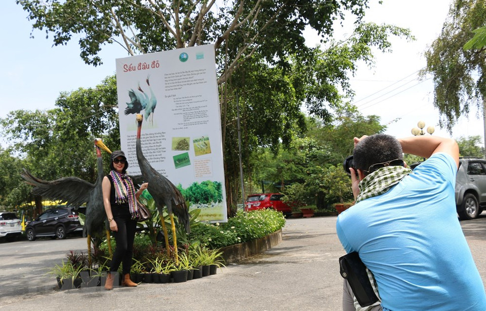 据鸟栖国家公园管委会的报告，基于面积庞大（约7300公顷）及多样化的生态体系，鸟栖国家公园是《越南濒危动物红皮书》中多种动物和鸟类，尤其是赤颈鹤的栖息地。越通社记者 章台 摄