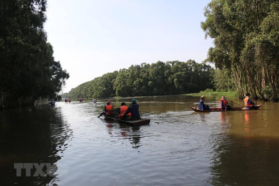 越南同塔省三农县鸟栖国家公园是九龙江三角洲吸引众多赤颈鹤栖息的地方。八十年代，该公园共有1000多只赤颈鹤，但是后来，其数量日益减少。到2018年，鸟栖国家公园只剩有11只，数量正在急剧地减少。图中：游客们划船游览鸟栖国家森林公园。越通社记者 章台 摄