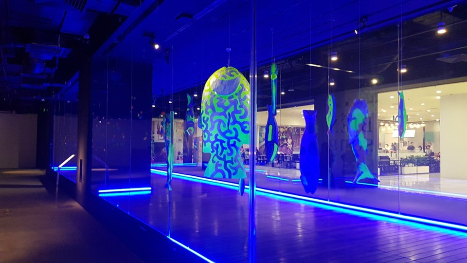  “活海” 达芬尼斯艺术展不仅展示各种绘画、摄影和当代装置艺术作品，而且还播放11部短片，从而传递有关保护海洋环境的信息。所展示的作品不仅给观众留下有关越南海洋雄伟壮观美景的深刻印象，而且还通过灯光的巧妙配置，从视觉感官触动人心。图自VIETNAM+