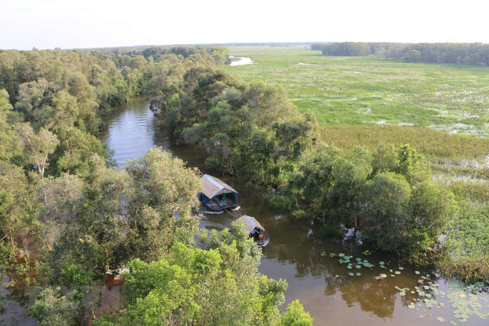 同塔鸟栖国家公园总占地面积约7313公顷，分为生态区、严格自然保护区、服务区、旅游区等许多功能区。越通社记者 章台 摄