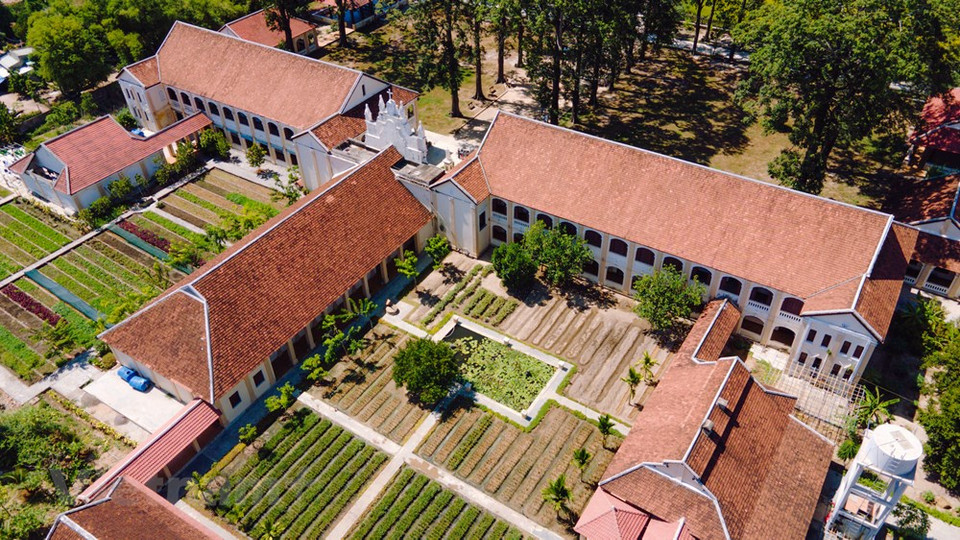 这里仍保留着古老、优雅之美，尤其是有着数百年历史的古树。图片来源：Vietnam+