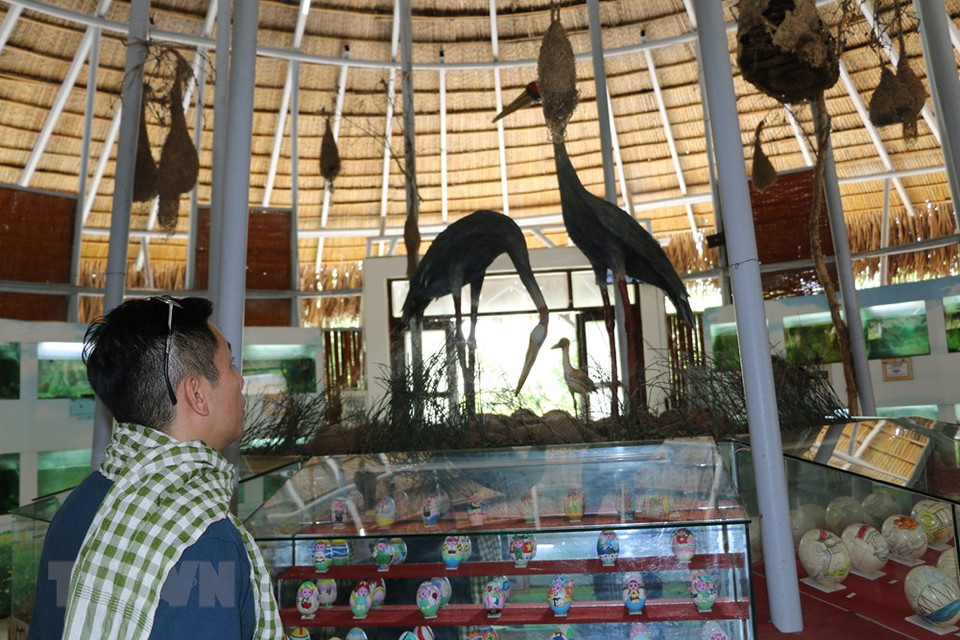 游客参观鸟蛋和鱼类展示厅，该展示厅里展示同塔鸟栖国家公园模范的130种鸟蛋和和52种鱼类。越通社记者 章台 摄