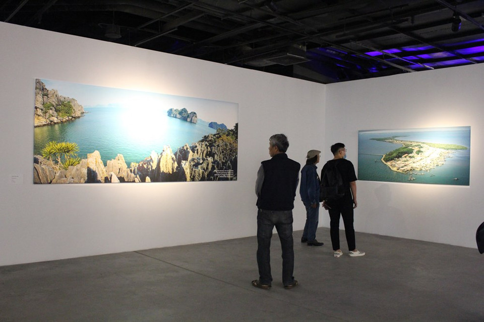 继承2019年第七次达芬尼斯艺术展关于环境保护的主题，第八次达芬尼斯艺术展上展示黎鸿玲、杨明龙、邓玉泰等著名摄影师和才华艺术家的精彩图片、绘画作品以及装置艺术作品，其中黎铁钢画家就是该展会的筛选负责人。“活海”就是达芬尼斯、越南画报副刊《美》杂志和多媒体艺术培训学校Arena MultiMedia联合开展《我保持美丽》战役中的下一阶段。图自VIETNAM+