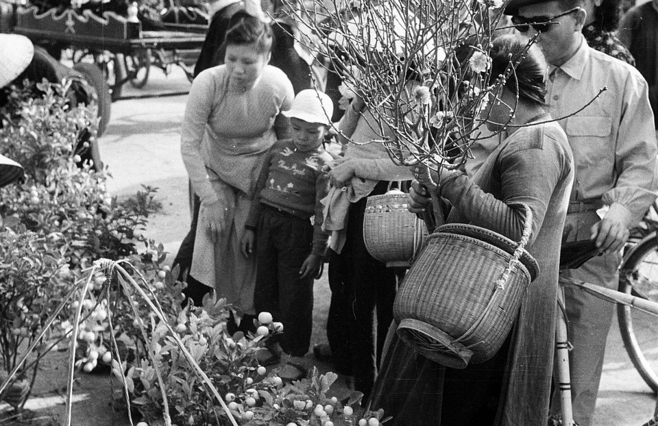 1956年春节花卉市场。越通社资料图