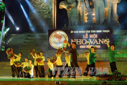 2016年宁顺省葡萄和葡萄酒节开幕式。（图片来源：越通社）