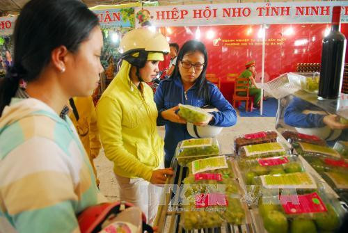 游客参观2016年宁顺省葡萄和葡萄酒节各展位。（图片来源：越通社）