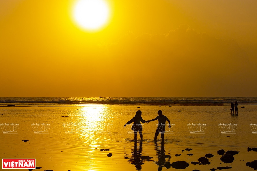 当地居民说，想要欣赏这片海藻田的美景，游客应在早晨4到9时或下午15到18时来到海滩，否则涨潮淹没会看不到。《越南画报》记者 黎明 摄