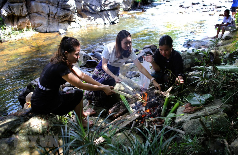 游客们亲自煮菜并在椰佬小溪岸边品尝。越通社记者 胡桥 摄