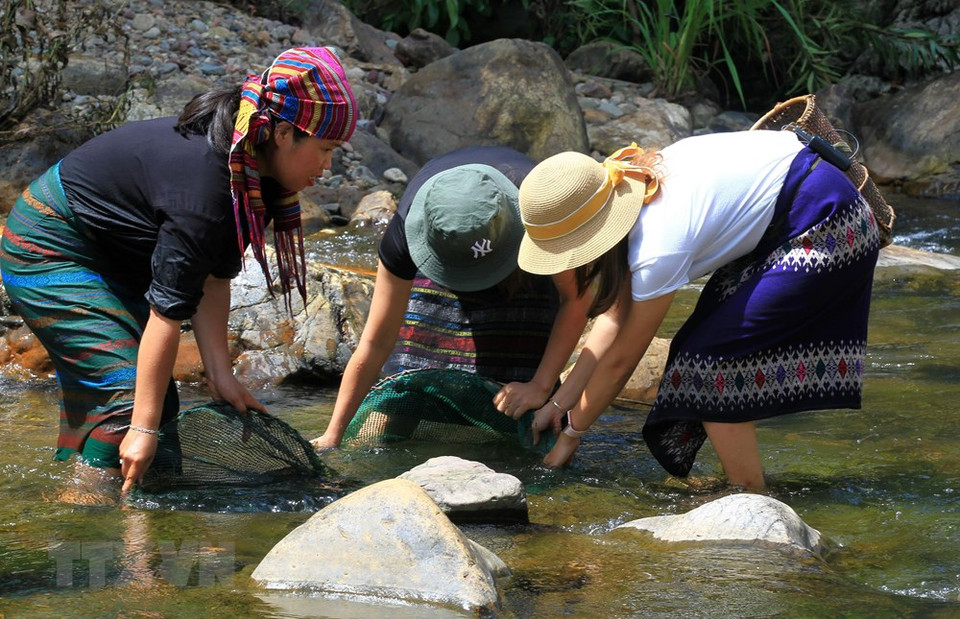 游客穿着云桥族同胞传统服装并体验在椰佬小溪捕鱼。越通社记者 胡桥 摄
