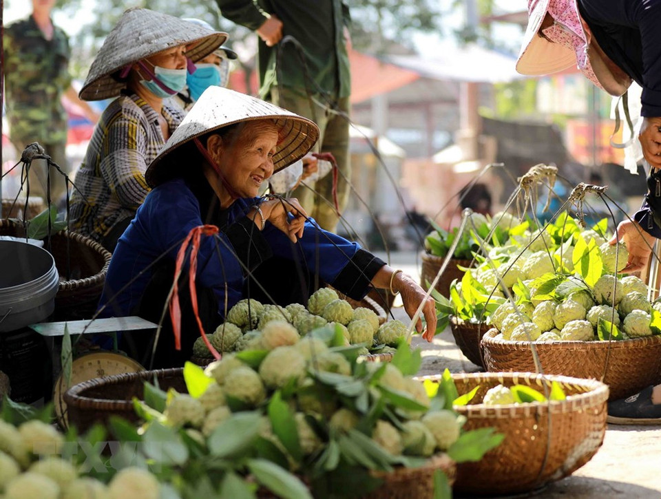 芝陵特产番荔枝在芝陵县芝陵镇市场上出售。越通社记者 武生 摄