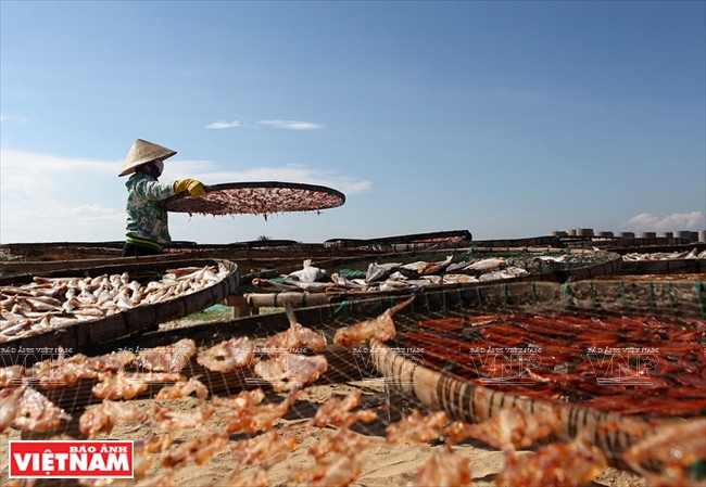沙黄海鲜干货颇受消费者的青睐。 图自越通社
