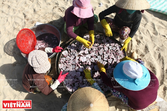 在海鲜晾晒前，渔民们将其进行粗加工。图自越通社