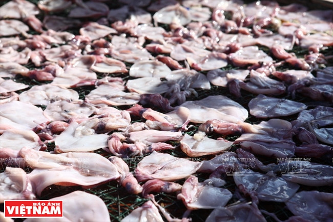 晾晒海鲜。 图自越通社