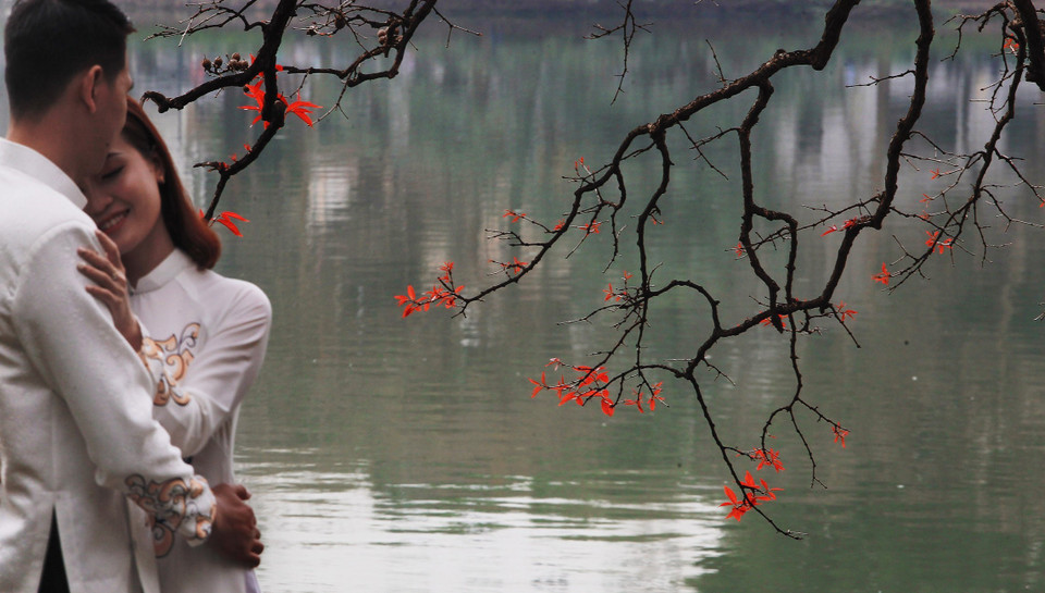河内市还剑湖大叶紫薇纷纷发芽长出小嫩叶。越通社记者 摄 